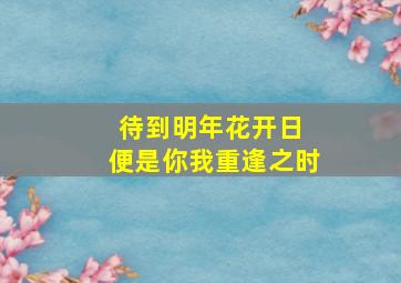 待到明年花开日 便是你我重逢之时